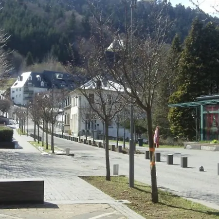 Apartmán Mont-dore, 1 Piece, 4 Personnes - Fr-1-415-18 Le Mont-Dore